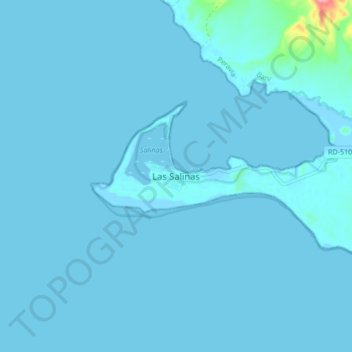 Las Salinas topographic map, elevation, terrain