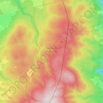 Strict Nature Reserve Primeval Forest Janj topographic map, elevation, terrain