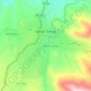 Santo Tomás topographic map, elevation, terrain